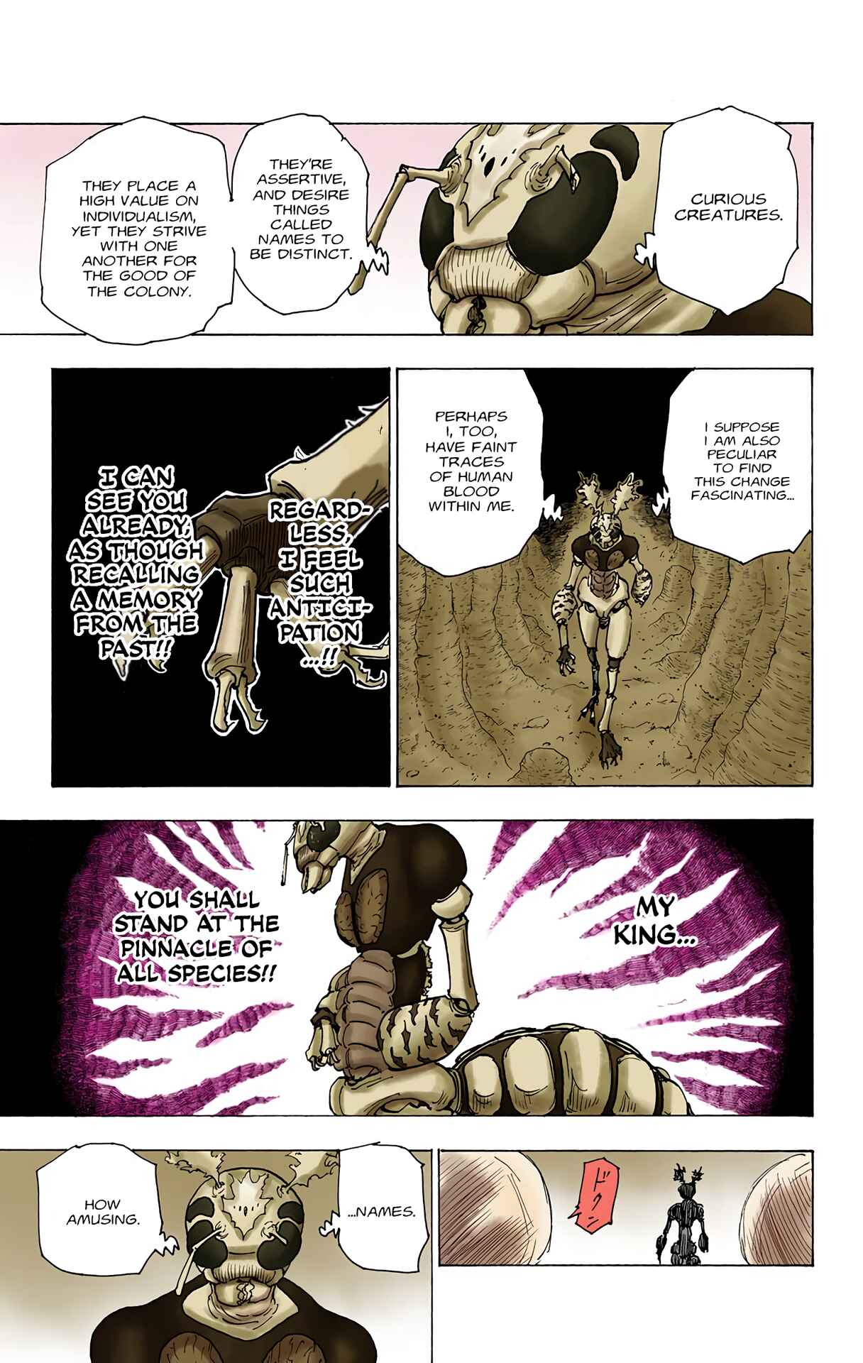 Page 14 Chapter 188 HUNTER x HUNTER (Official Colored)