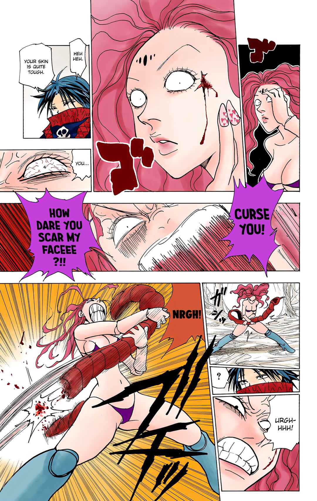 Page 11 Chapter 228 HUNTER x HUNTER (Official Colored)