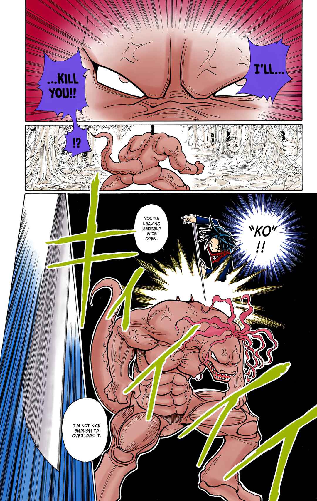 Page 13 Chapter 228 HUNTER x HUNTER (Official Colored)