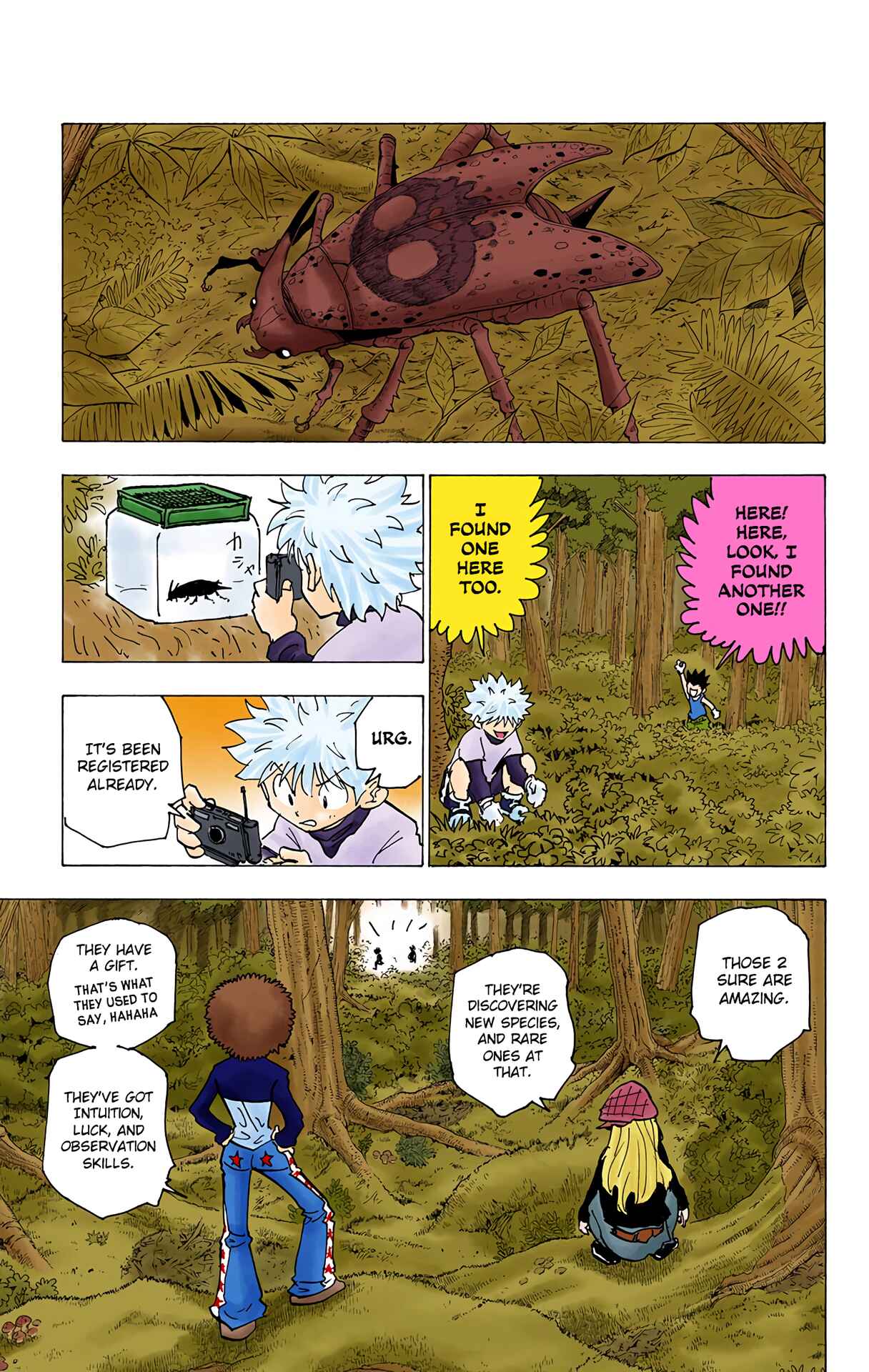 Page 11 Chapter 186 HUNTER x HUNTER (Official Colored)