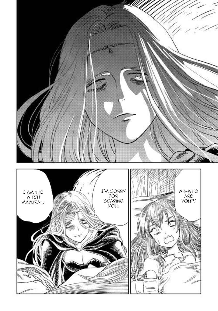 Page 22 Chapter 7 The Witchs Hammer - Malleus Maleficarum