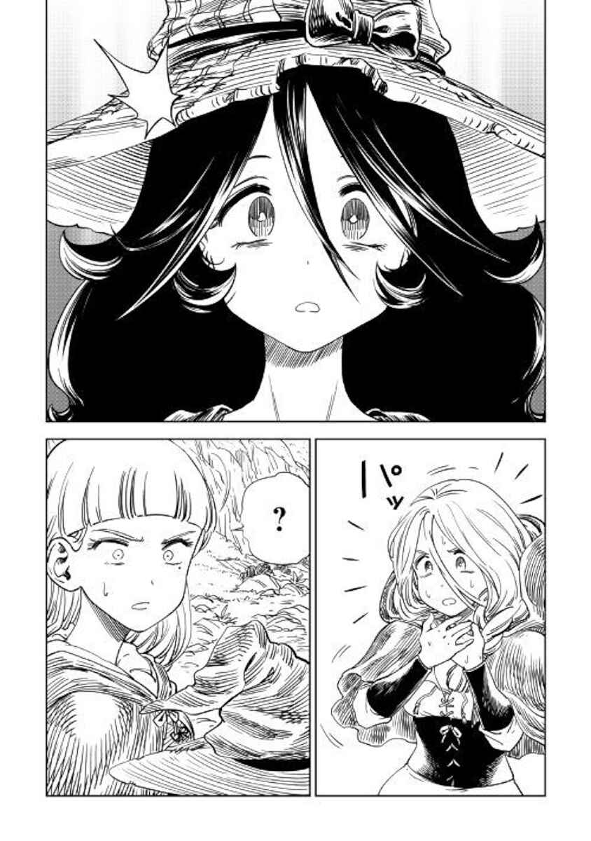 Page 14 Chapter 11 The Witchs Hammer - Malleus Maleficarum