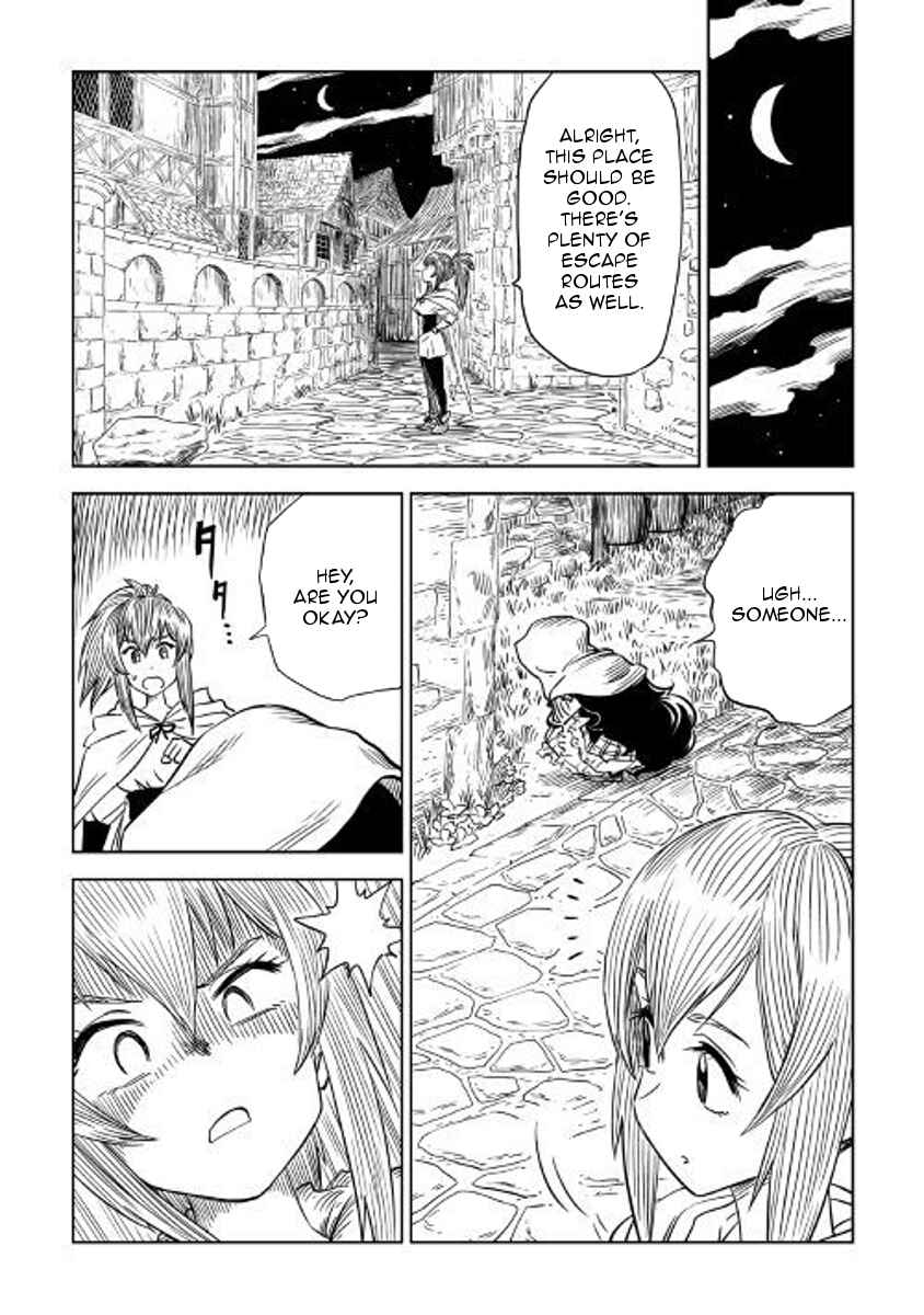 Page 13 Chapter 4 The Witchs Hammer - Malleus Maleficarum