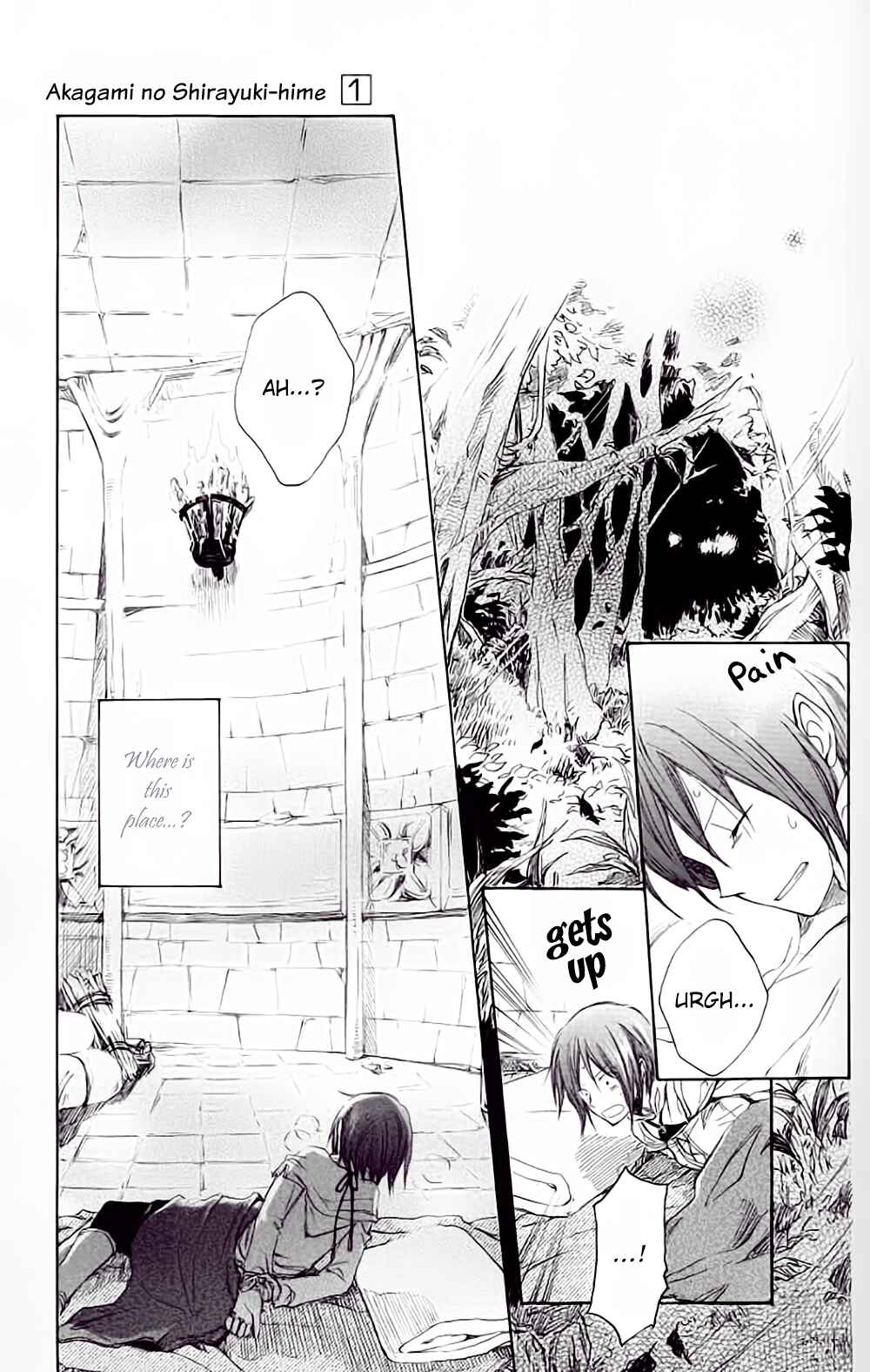 Page 13 Chapter 2 Akagami no Shirayukihime