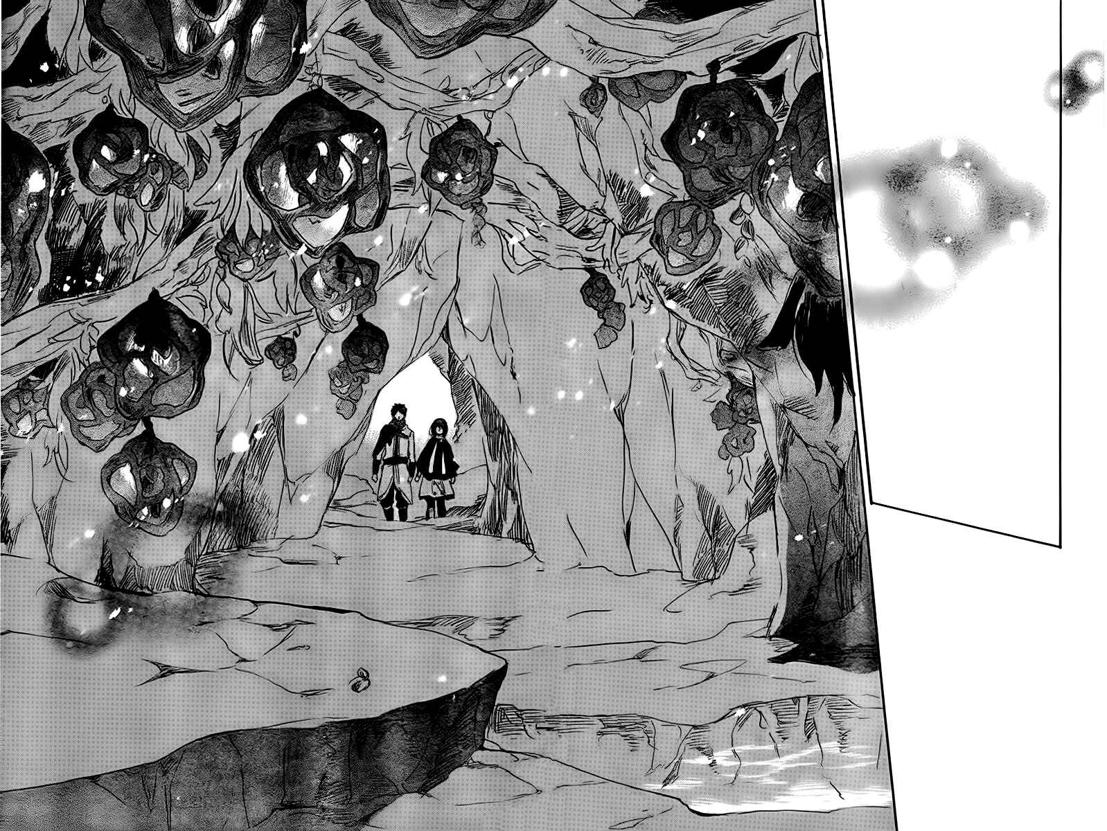 Page 39 Chapter 38 Akagami no Shirayukihime