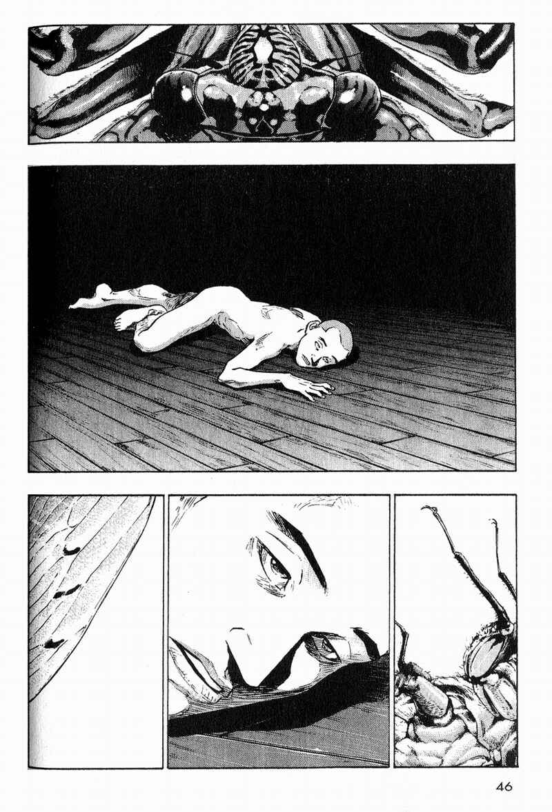 Page 17 Chapter 2 Shamo
