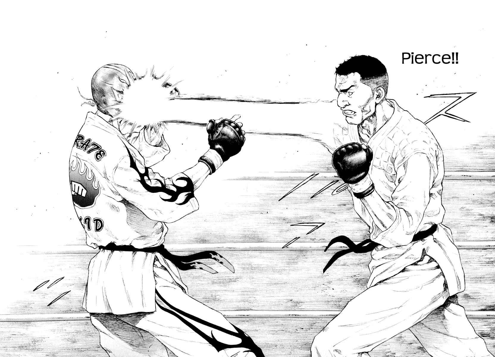 Page 17 Chapter 12 Shamo