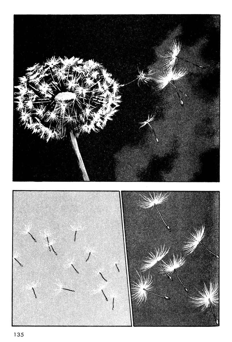 Page 13 Chapter 17 Shamo