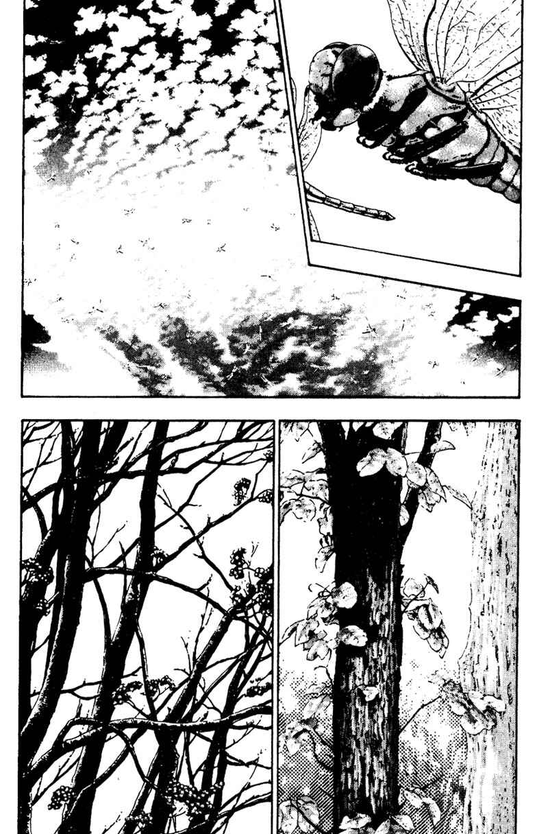 Page 4 Chapter 17 Shamo