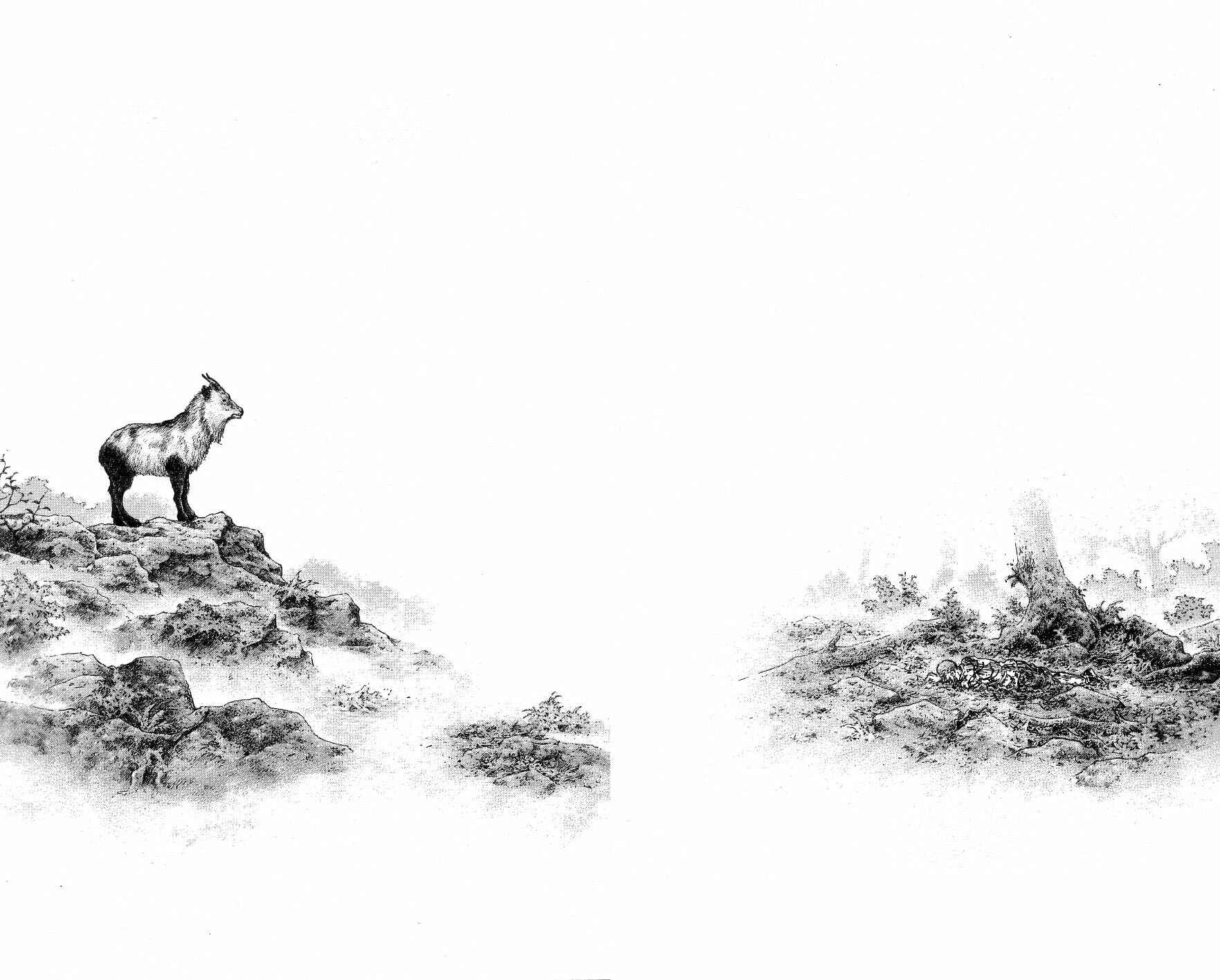 Page 3 Chapter 133 Shamo