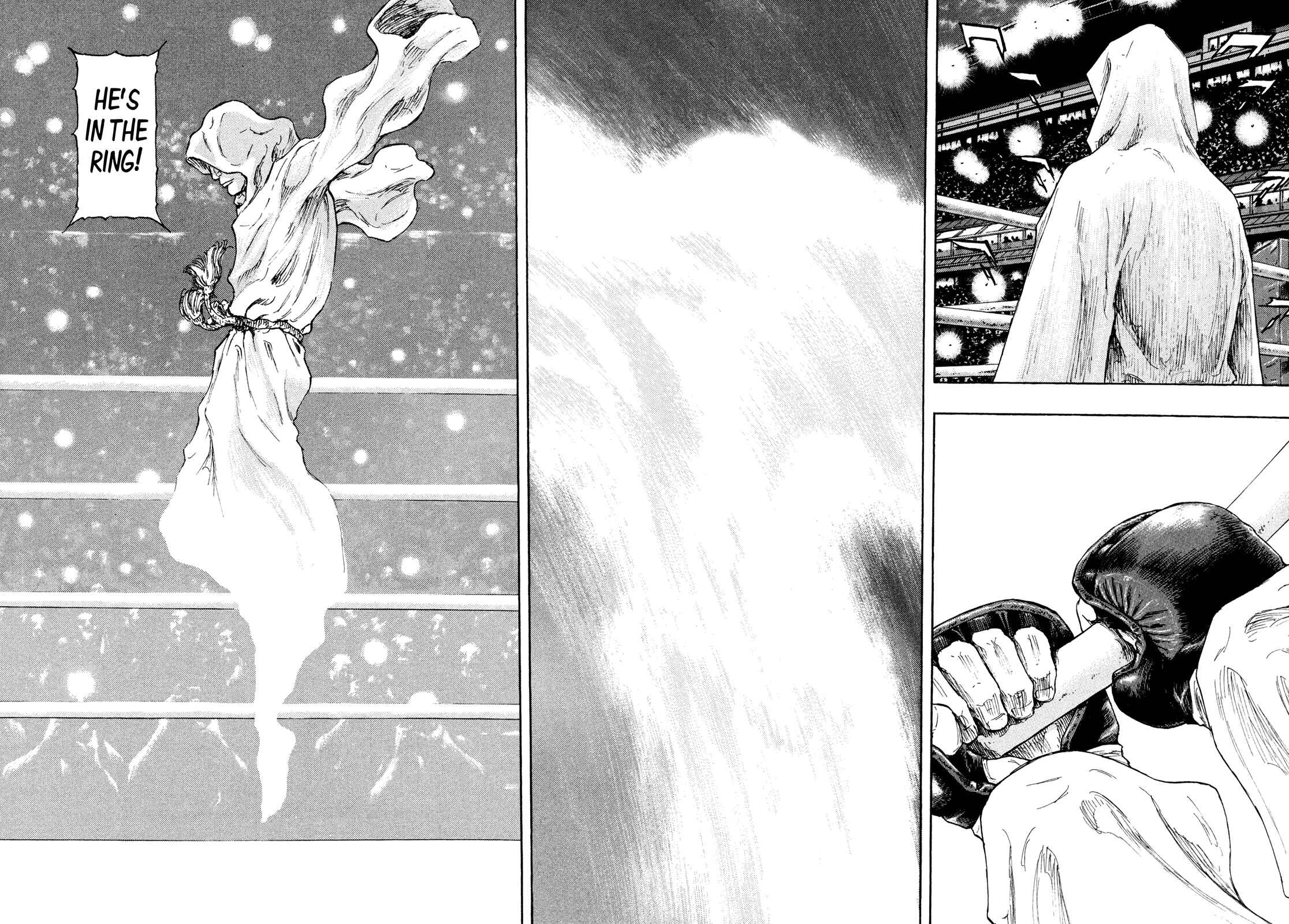 Page 17 Chapter 60 Shamo