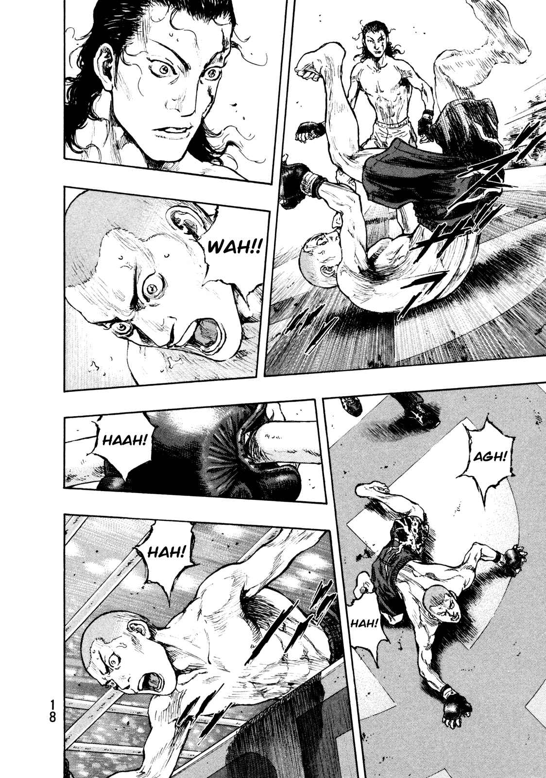 Page 18 Chapter 63 Shamo