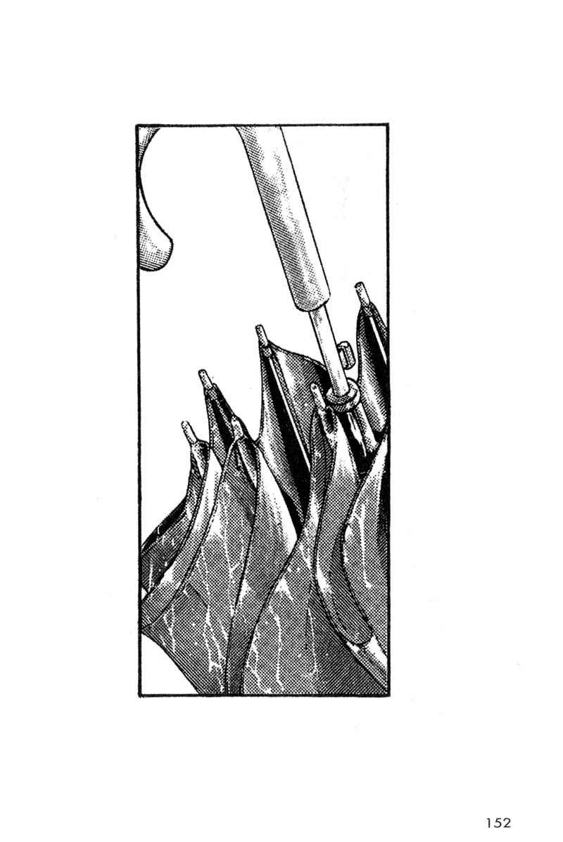 Page 2 Chapter 8 Shamo