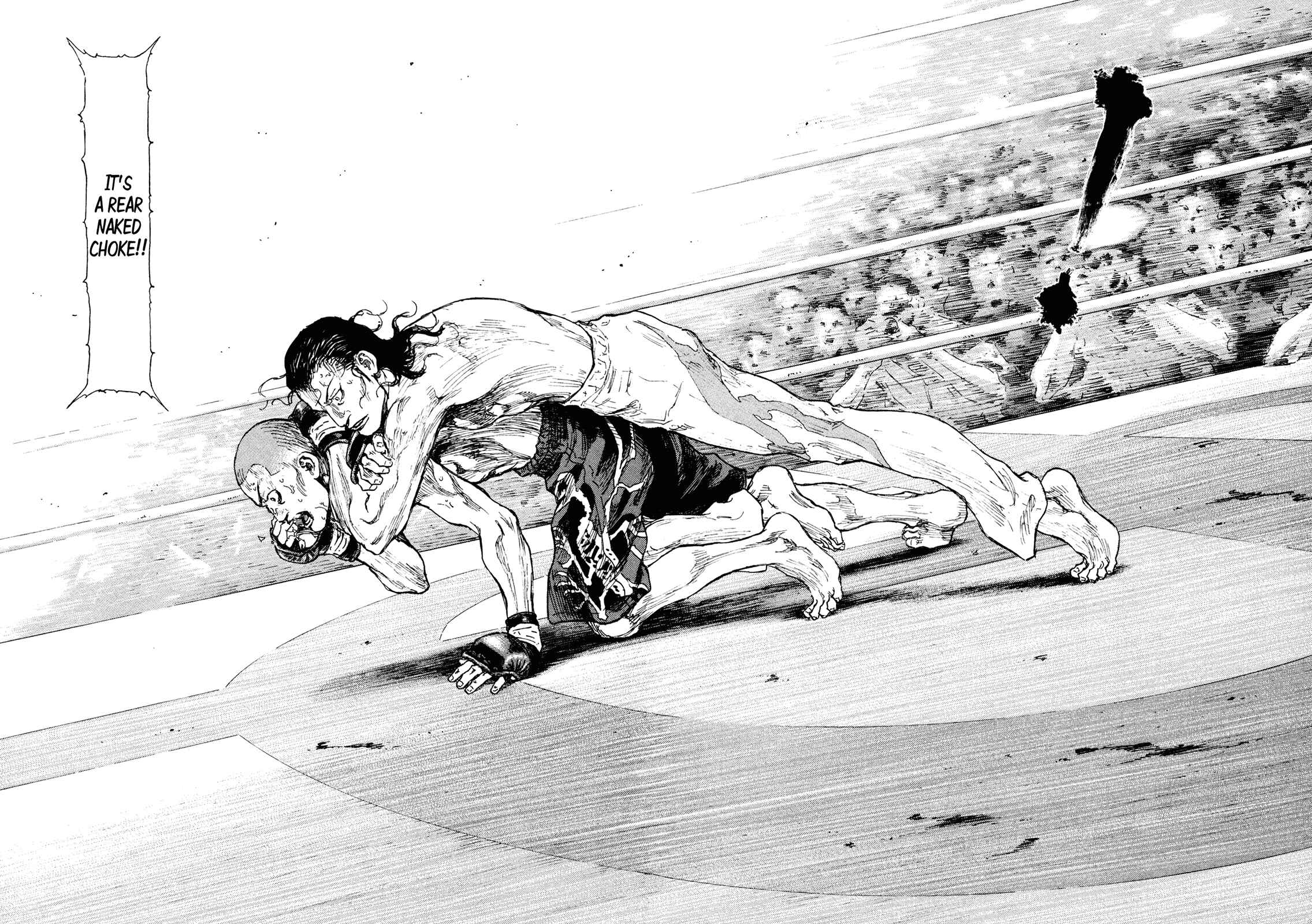 Page 17 Chapter 68 Shamo