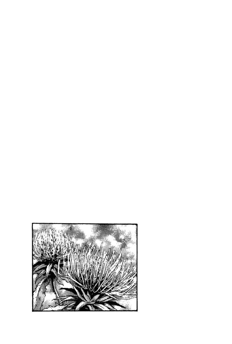 Page 2 Chapter 174 Shamo