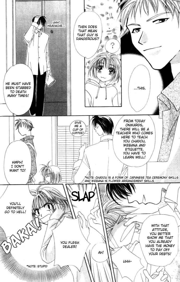 Page 23 Chapter 1.1 Platinum Garden