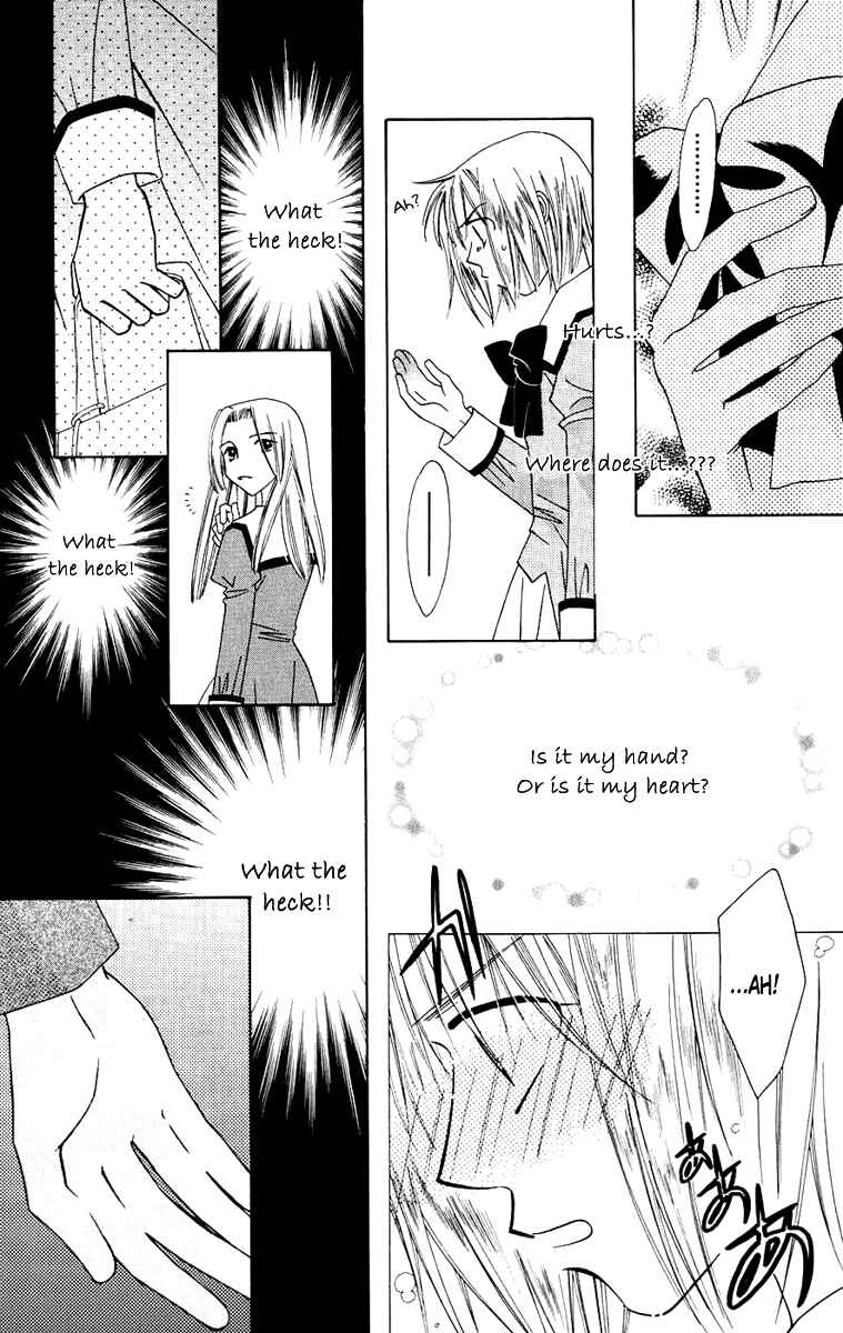 Page 35 Chapter 29 Platinum Garden