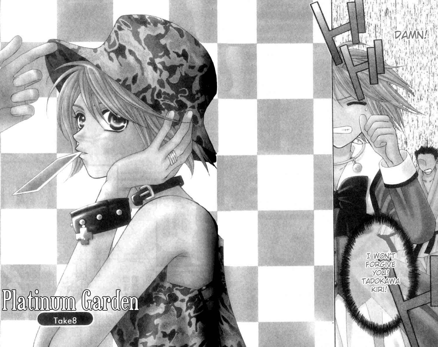 Page 4 Chapter 8 Platinum Garden