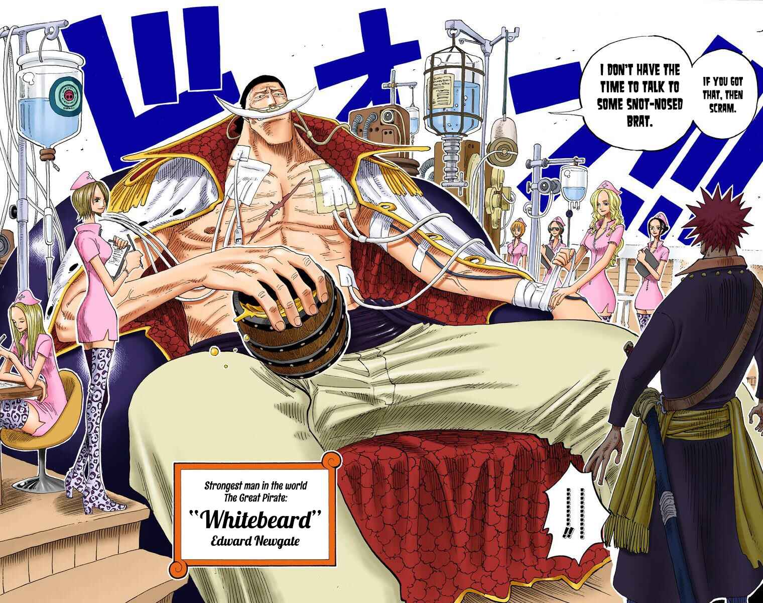 Page 13 Chapter 234 One Piece (Official Colored)