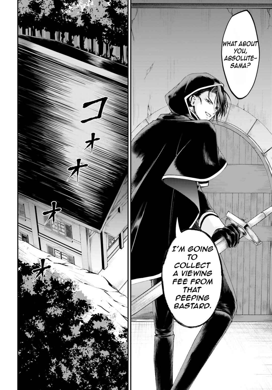 Page 13 Chapter 17 Akuyaku Kizoku to shite Hitsuyou na Sore