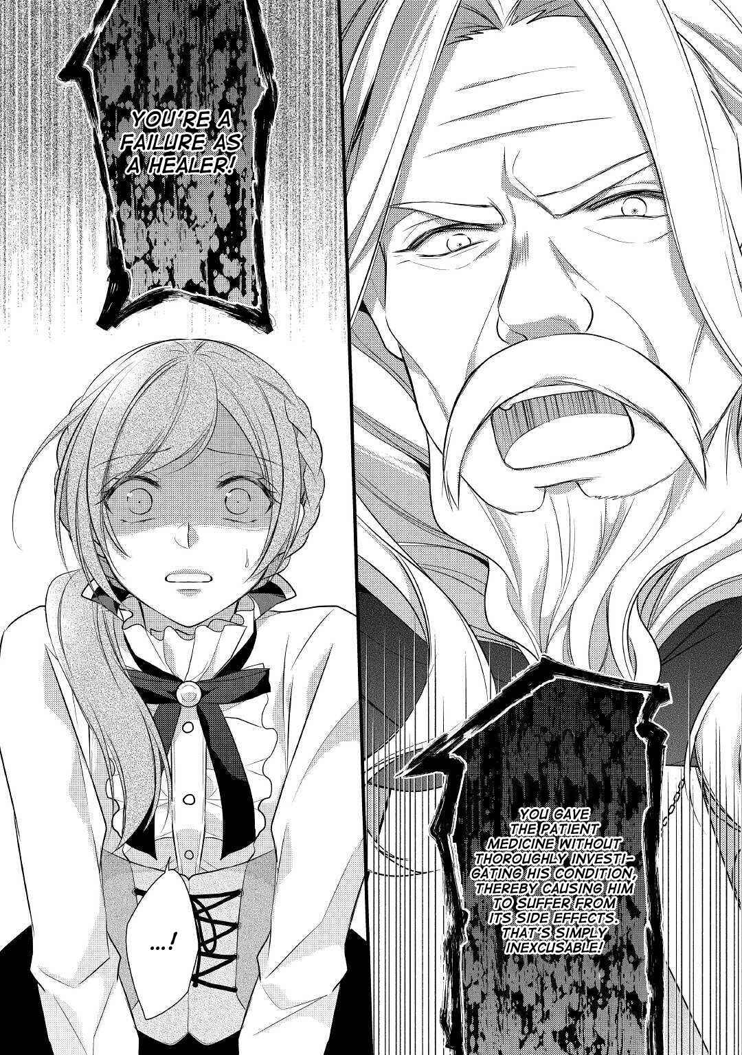 Page 13 Chapter 17 An E-Rank Apothecarist