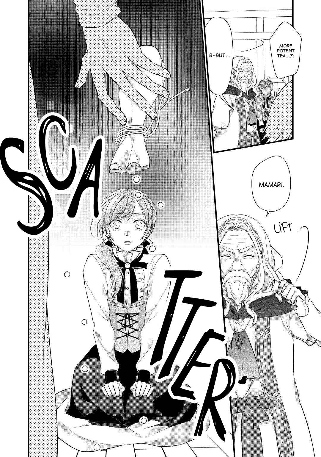Page 16 Chapter 17 An E-Rank Apothecarist