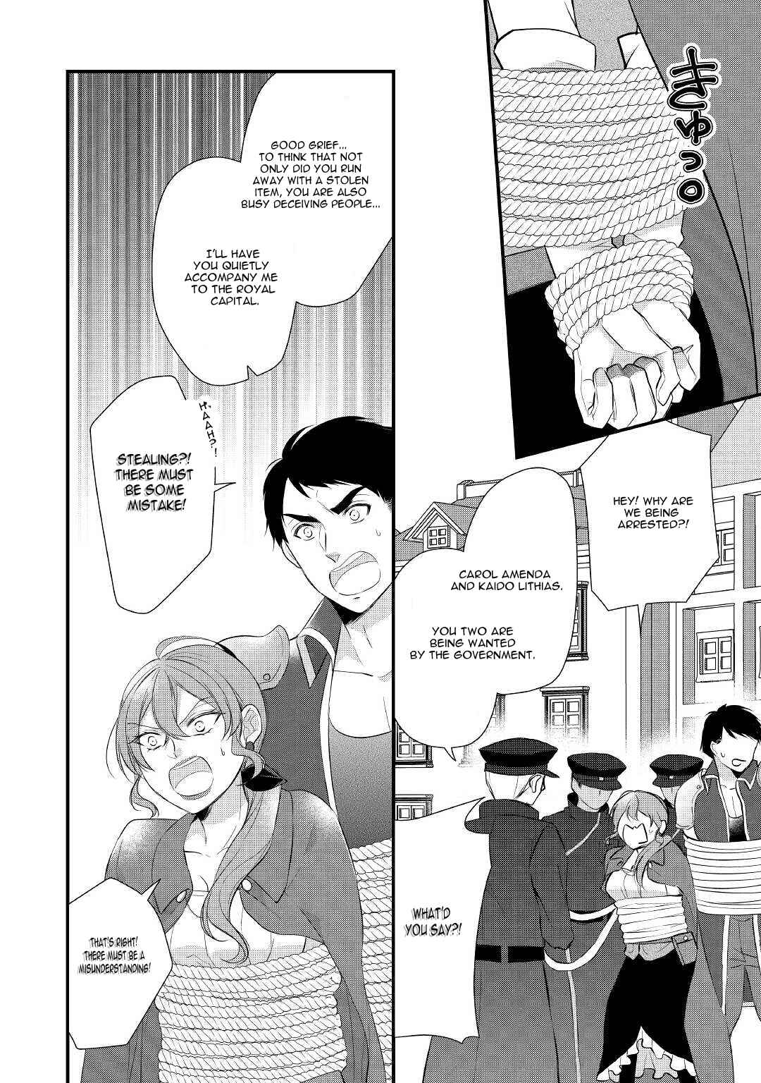 Page 17 Chapter 28 An E-Rank Apothecarist