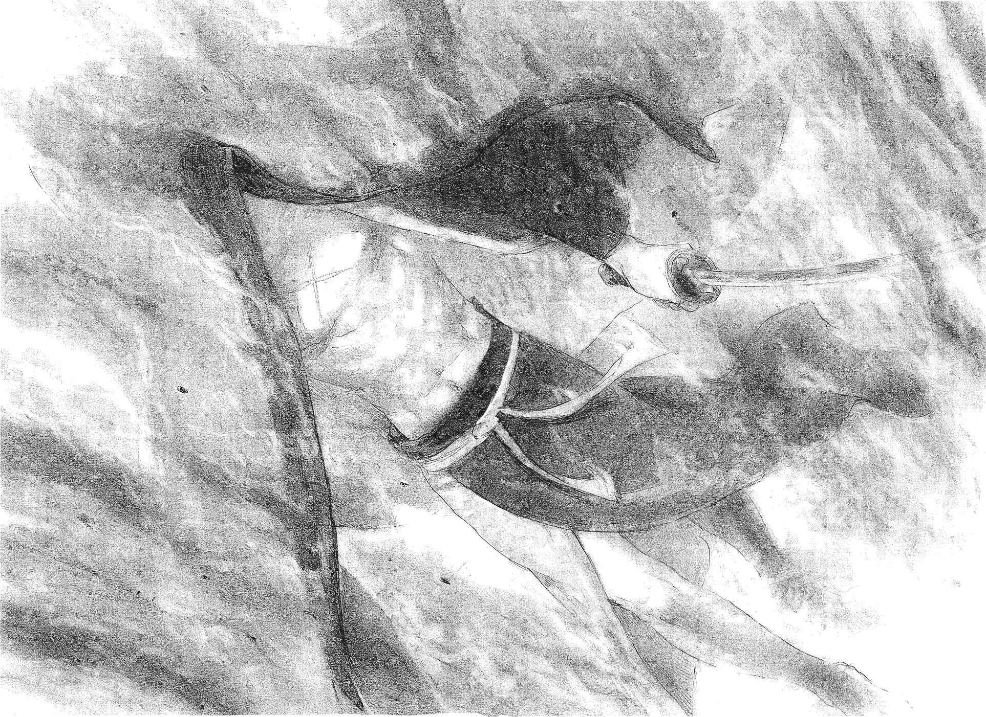 Page 29 Chapter 194 Blade of the Immortal