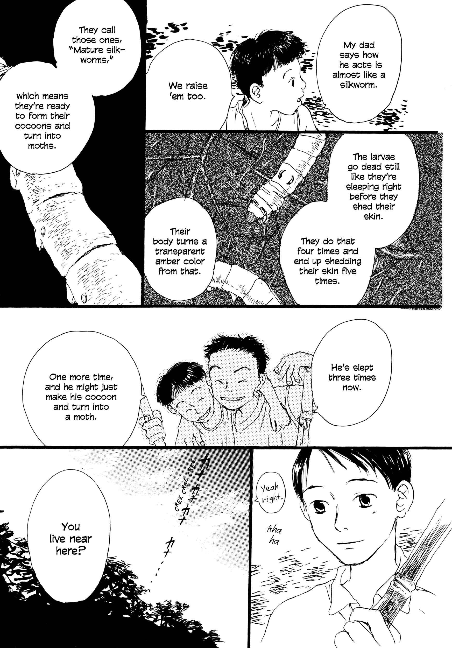 Page 5 Chapter 7 Bioluminescence
