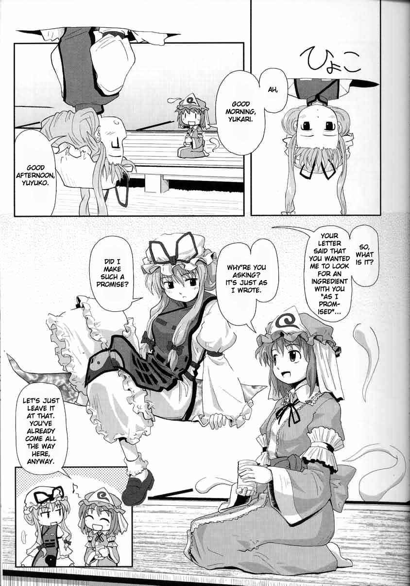 Page 3 Chapter 2 Touhou - Seasonal Dream Vision (Doujinshi)