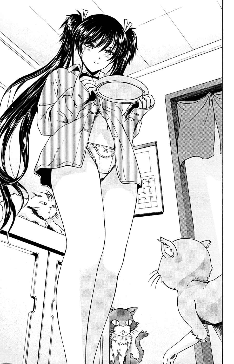 Page 40 Chapter 13 I Focus on Your Color