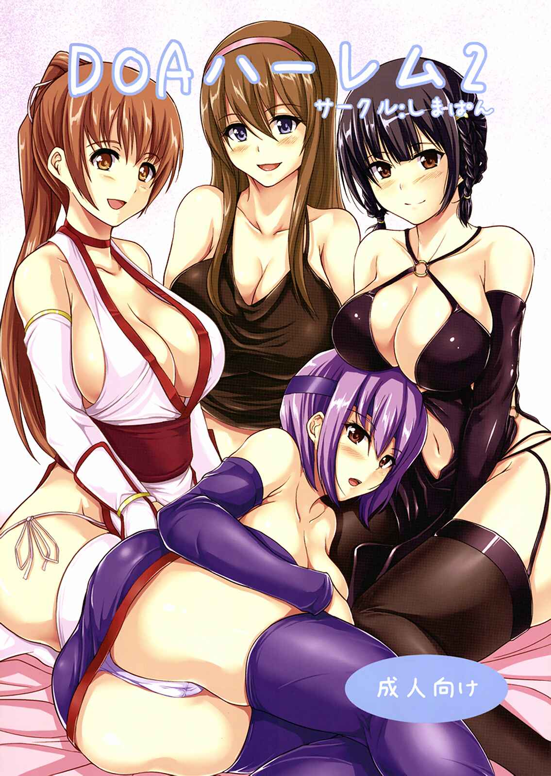 Page 1 Chapter 2 Dead or Alive - DOA Harem (Doujinshi)