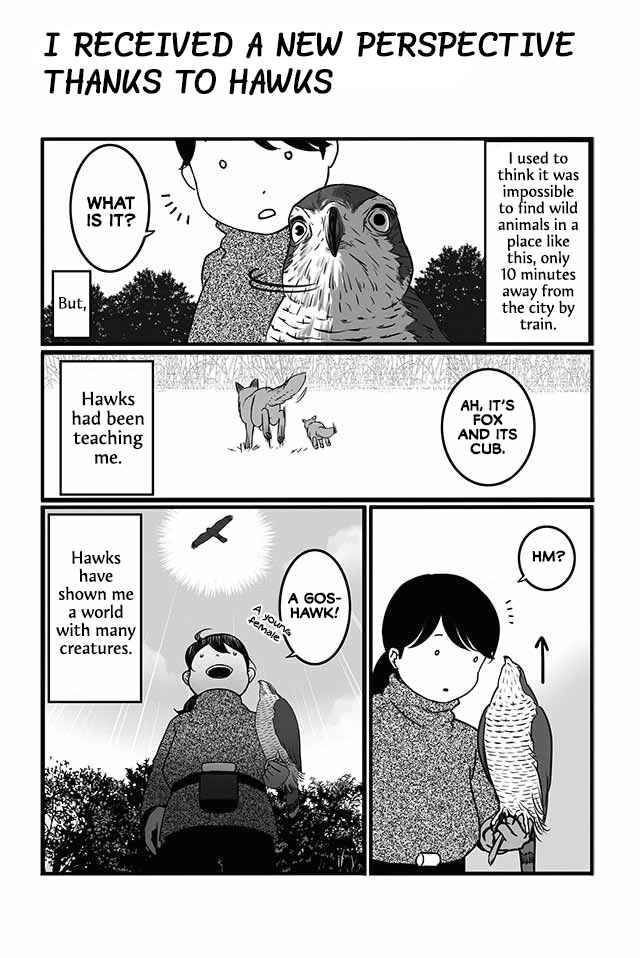 Page 2 Chapter 2.1 Hawk Master, Its Hunting Time!