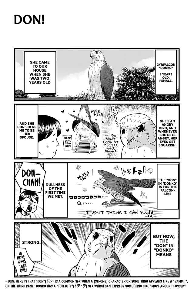 Page 10 Chapter 4 Hawk Master, Its Hunting Time!
