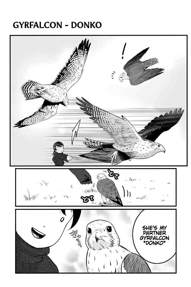 Page 2 Chapter 4 Hawk Master, Its Hunting Time!