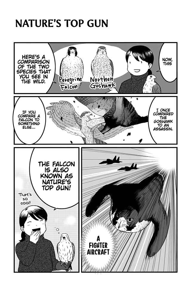 Page 5 Chapter 4 Hawk Master, Its Hunting Time!