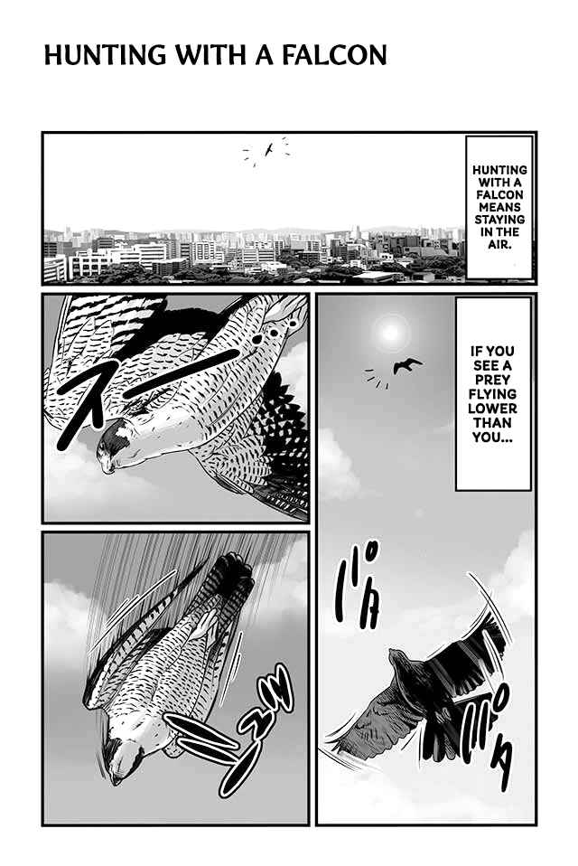 Page 6 Chapter 4 Hawk Master, Its Hunting Time!