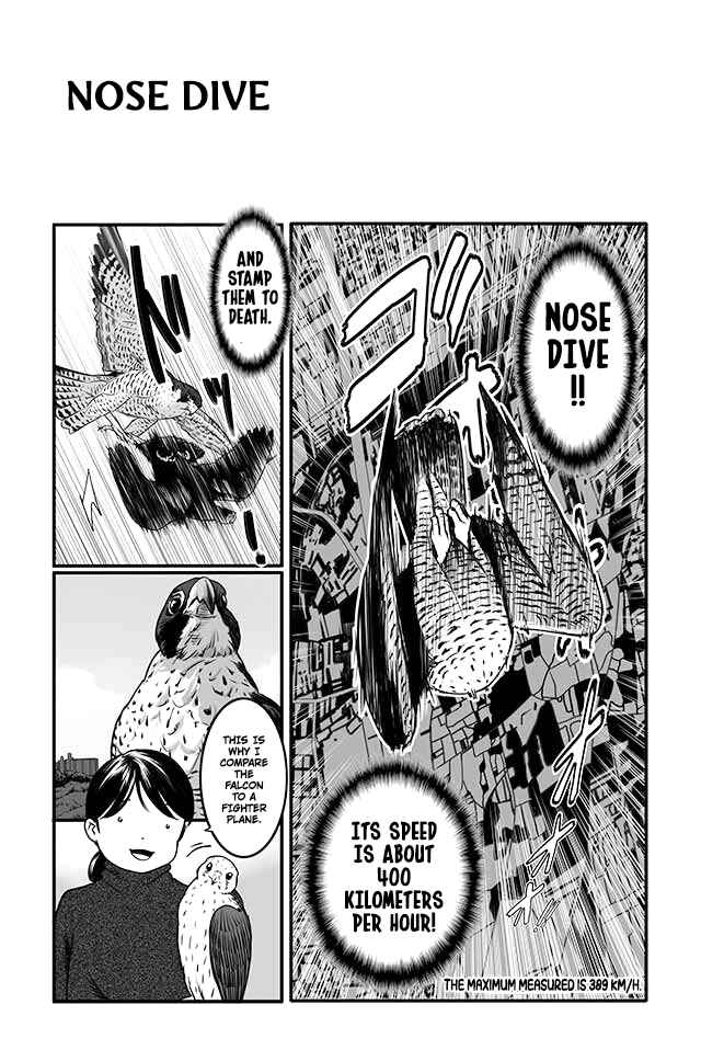Page 7 Chapter 4 Hawk Master, Its Hunting Time!