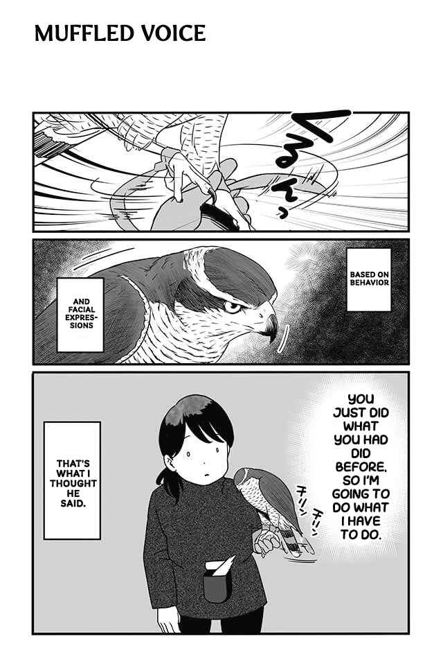 Page 10 Chapter 8 Hawk Master, Its Hunting Time!