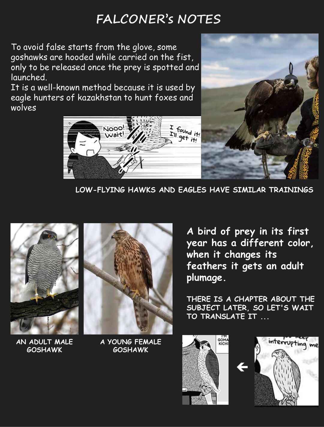 Page 12 Chapter 8 Hawk Master, Its Hunting Time!