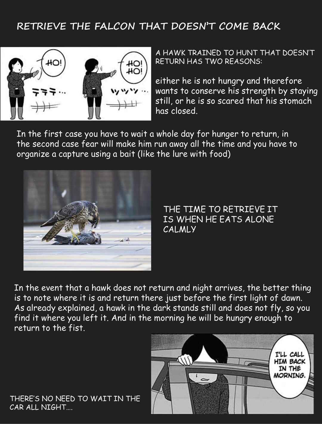 Page 14 Chapter 8 Hawk Master, Its Hunting Time!
