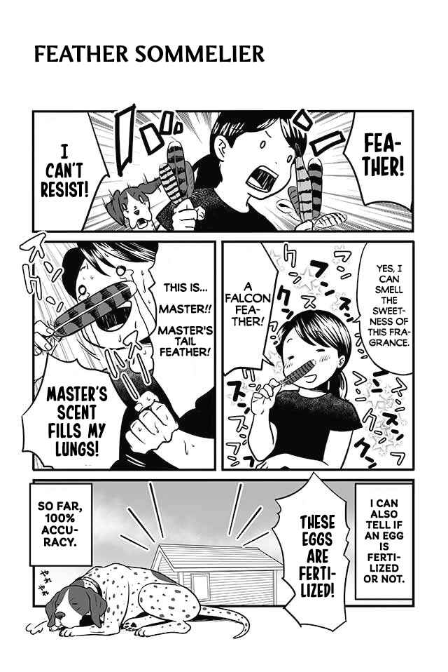 Page 1 Chapter 7 Hawk Master, Its Hunting Time!