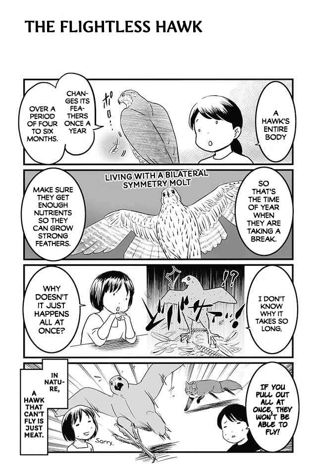 Page 3 Chapter 7 Hawk Master, Its Hunting Time!