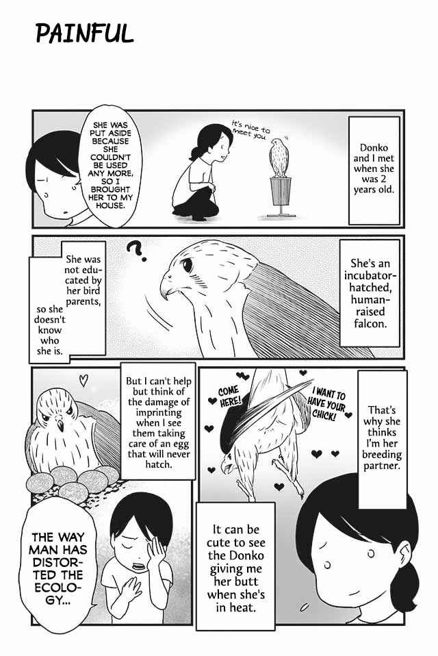 Page 2 Chapter 10 Hawk Master, Its Hunting Time!