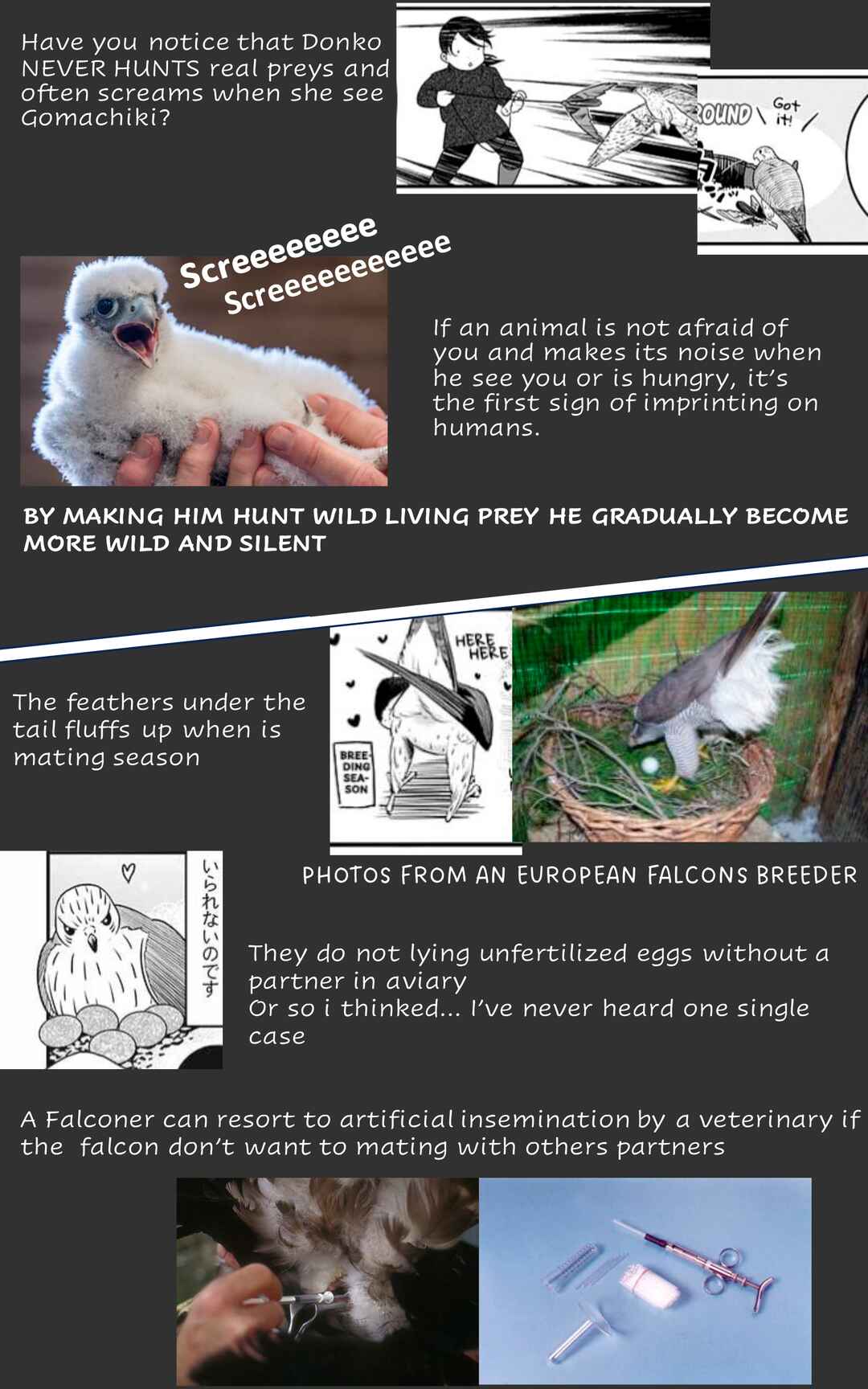 Page 4 Chapter 10 Hawk Master, Its Hunting Time!
