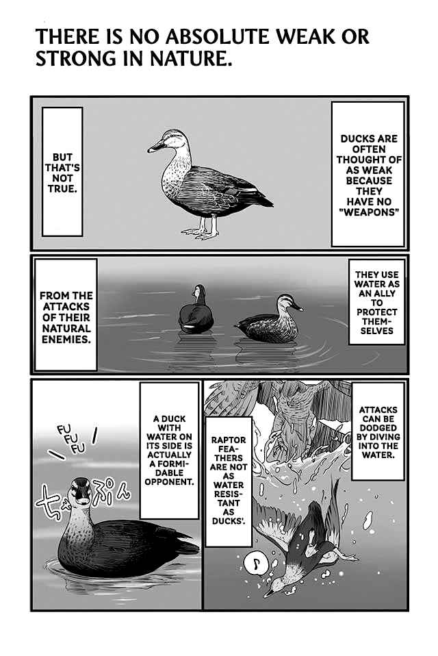 Page 2 Chapter 2 Hawk Master, Its Hunting Time!