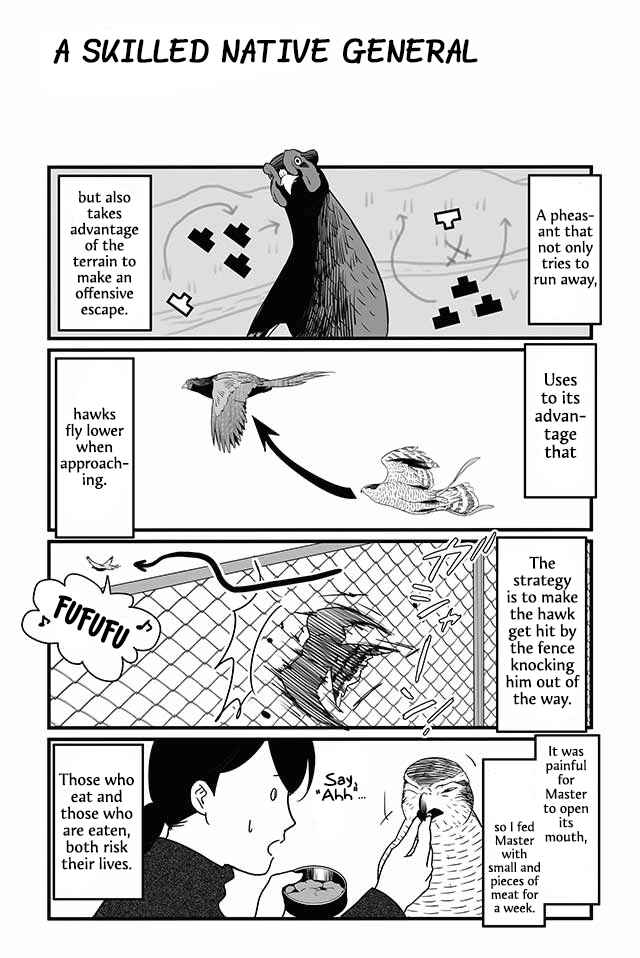 Page 3 Chapter 12 Hawk Master, Its Hunting Time!