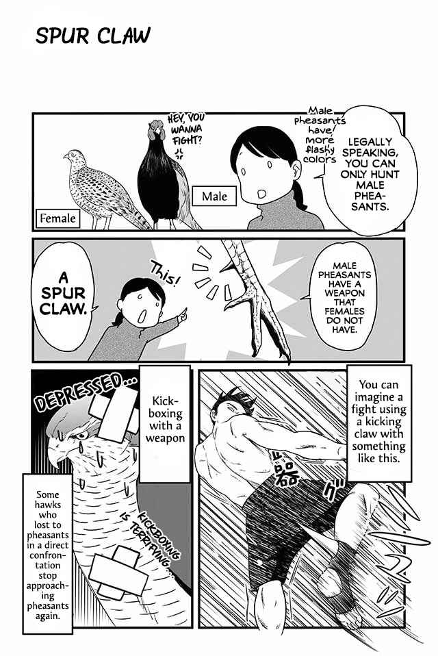 Page 5 Chapter 12 Hawk Master, Its Hunting Time!