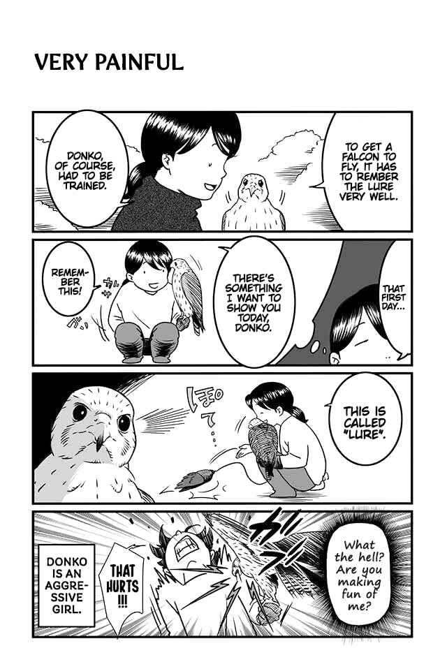 Page 4 Chapter 5 Hawk Master, Its Hunting Time!