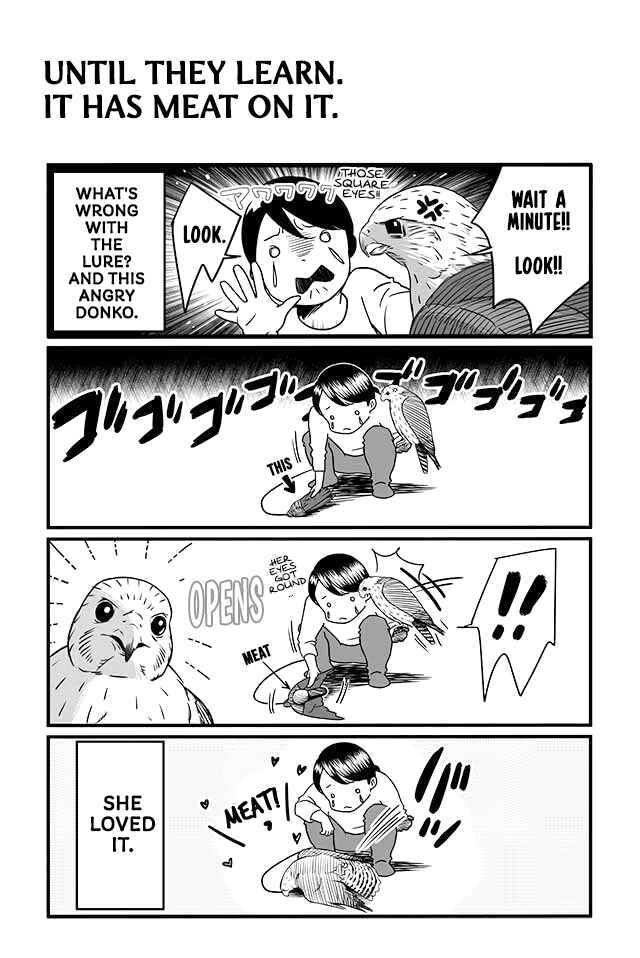 Page 5 Chapter 5 Hawk Master, Its Hunting Time!